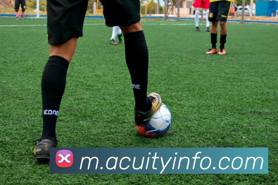 开元注册平台生态图